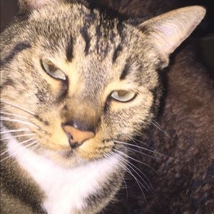 Meet your Posher, Sherry